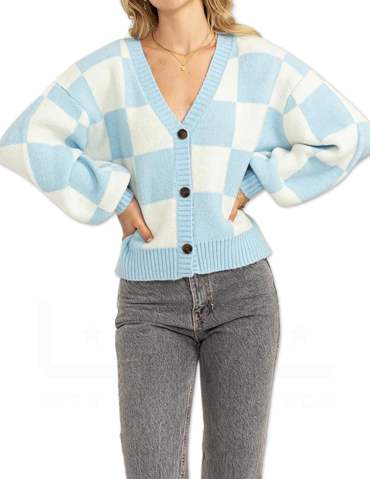 Checkered Cardigan Sweater - Blue and Cream