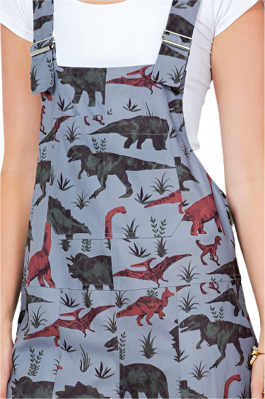 Dinosaurs Print Overall