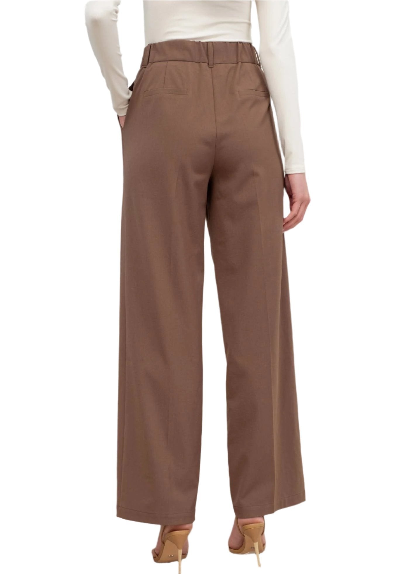 Brown High-waist pleated Wide-Leg Dress Pants