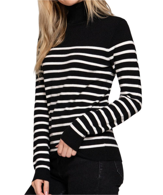 Long Sleeve Turtle Neck Stripe Sweater