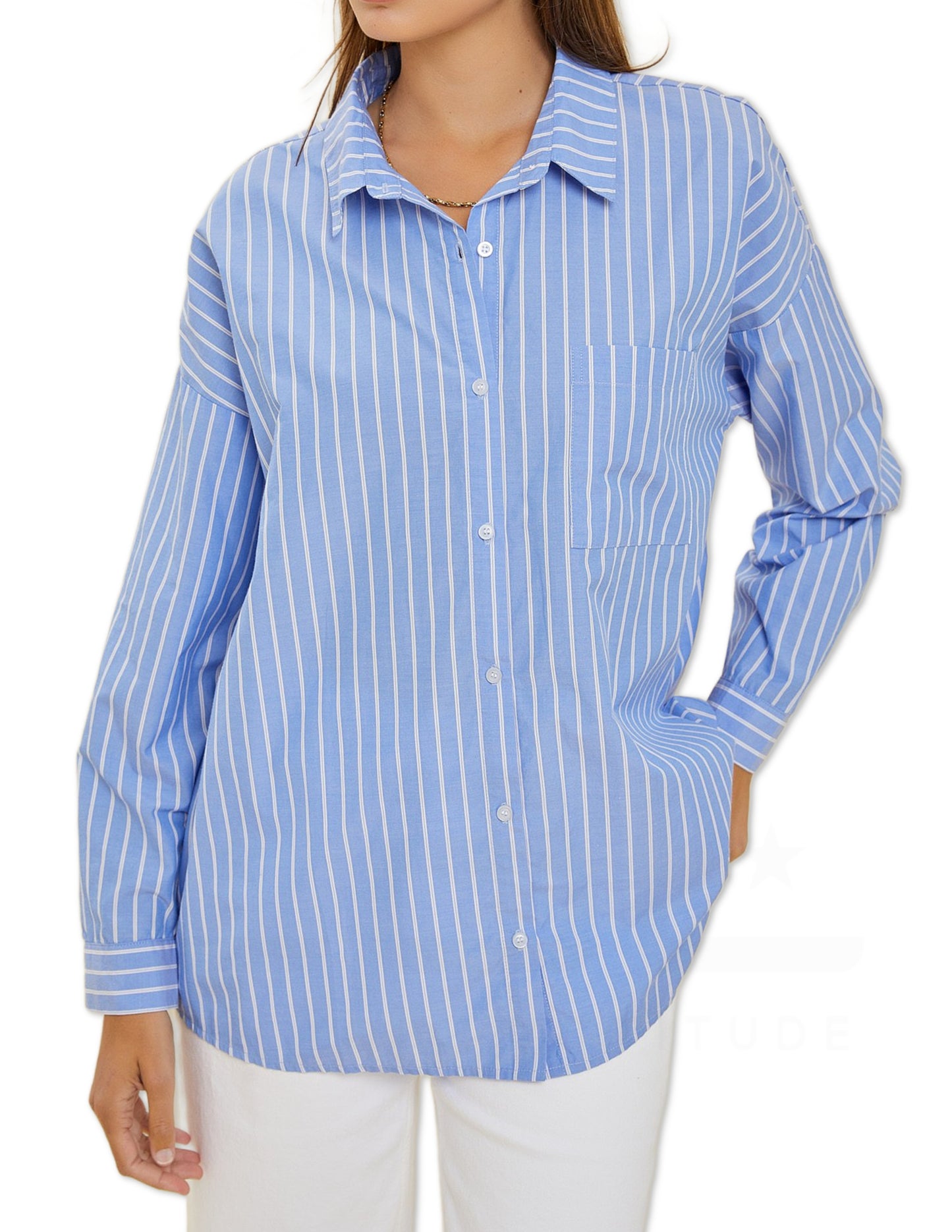 Striped Shirt - Chambray