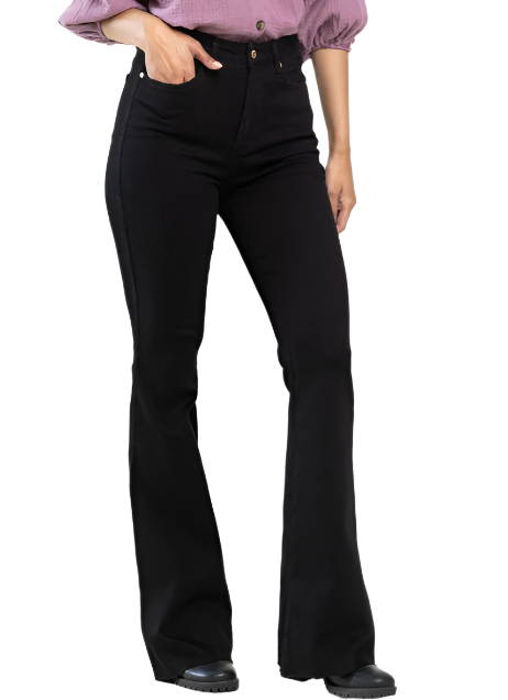 Judy Blue Tummy Control Black Jeans