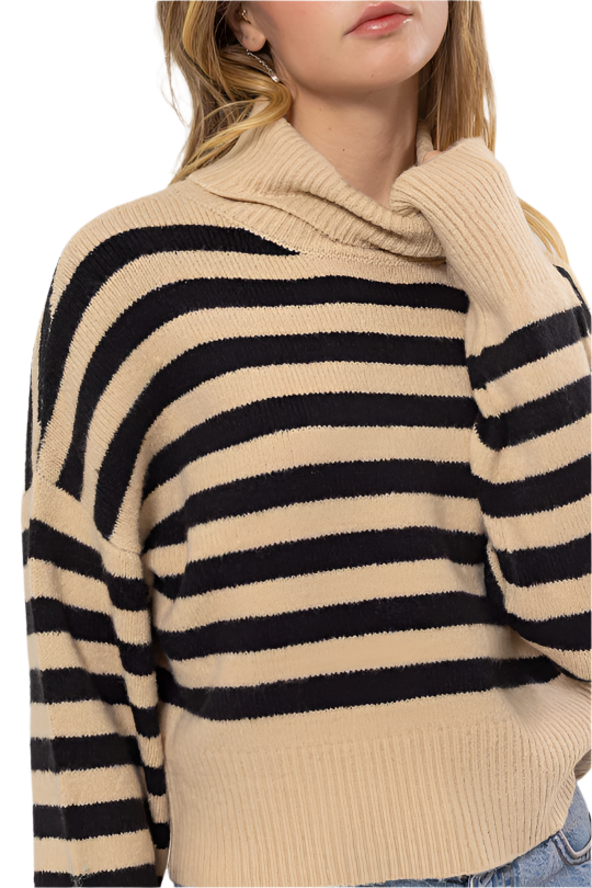 Striped Turtleneck Sweater