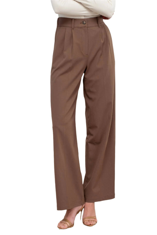 Brown High-waist pleated Wide-Leg Dress Pants