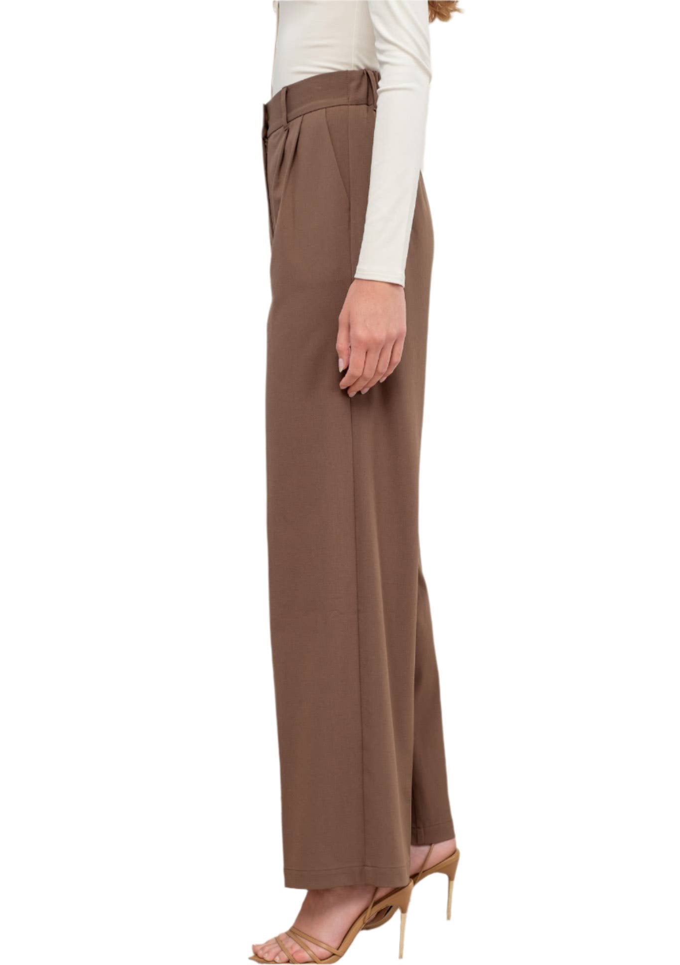 Brown High-waist pleated Wide-Leg Dress Pants