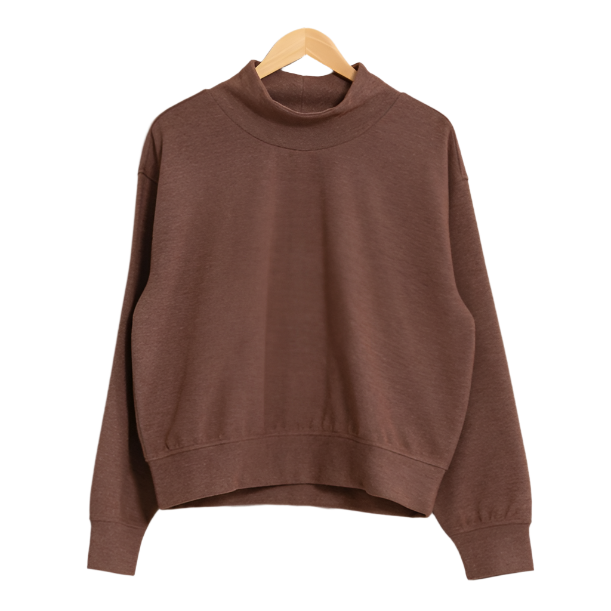 Chesnut Funnel Neck Sweatshirt