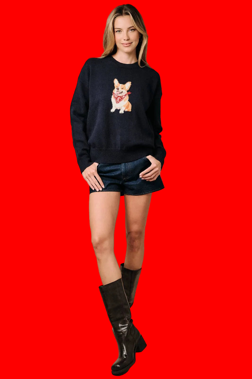 Corgie Sweater!